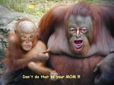 dan t do that your mom
